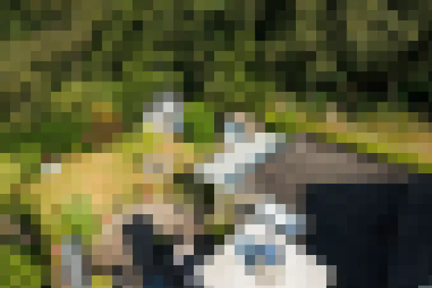De Santbrincke 46 Fluitenberg thumbnail 68