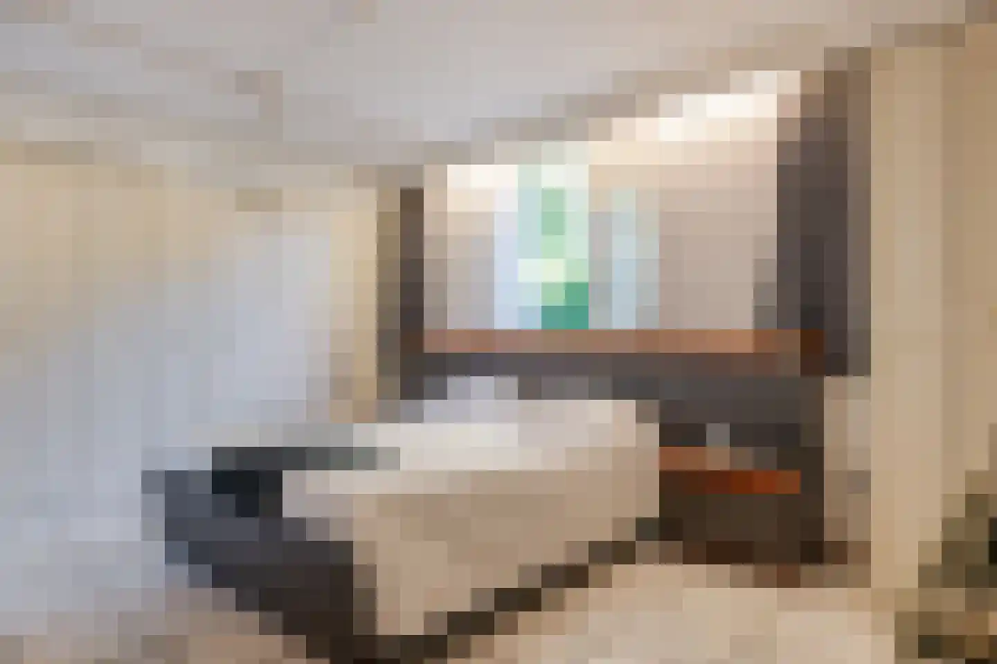 De Santbrincke 46 Fluitenberg thumbnail 7