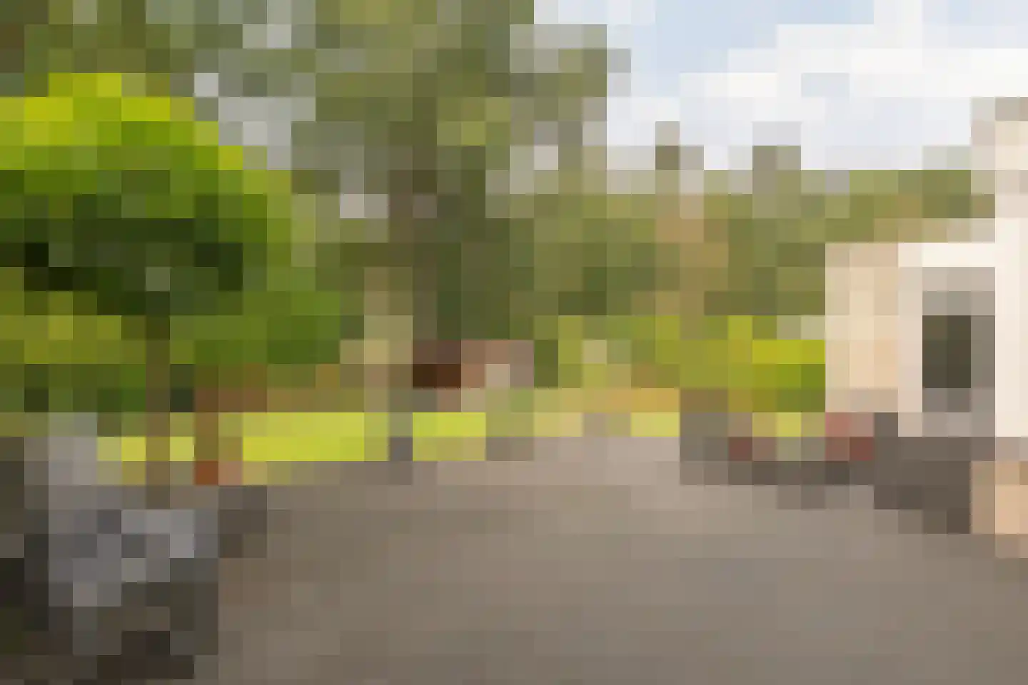 De Santbrincke 50 Fluitenberg thumbnail 46