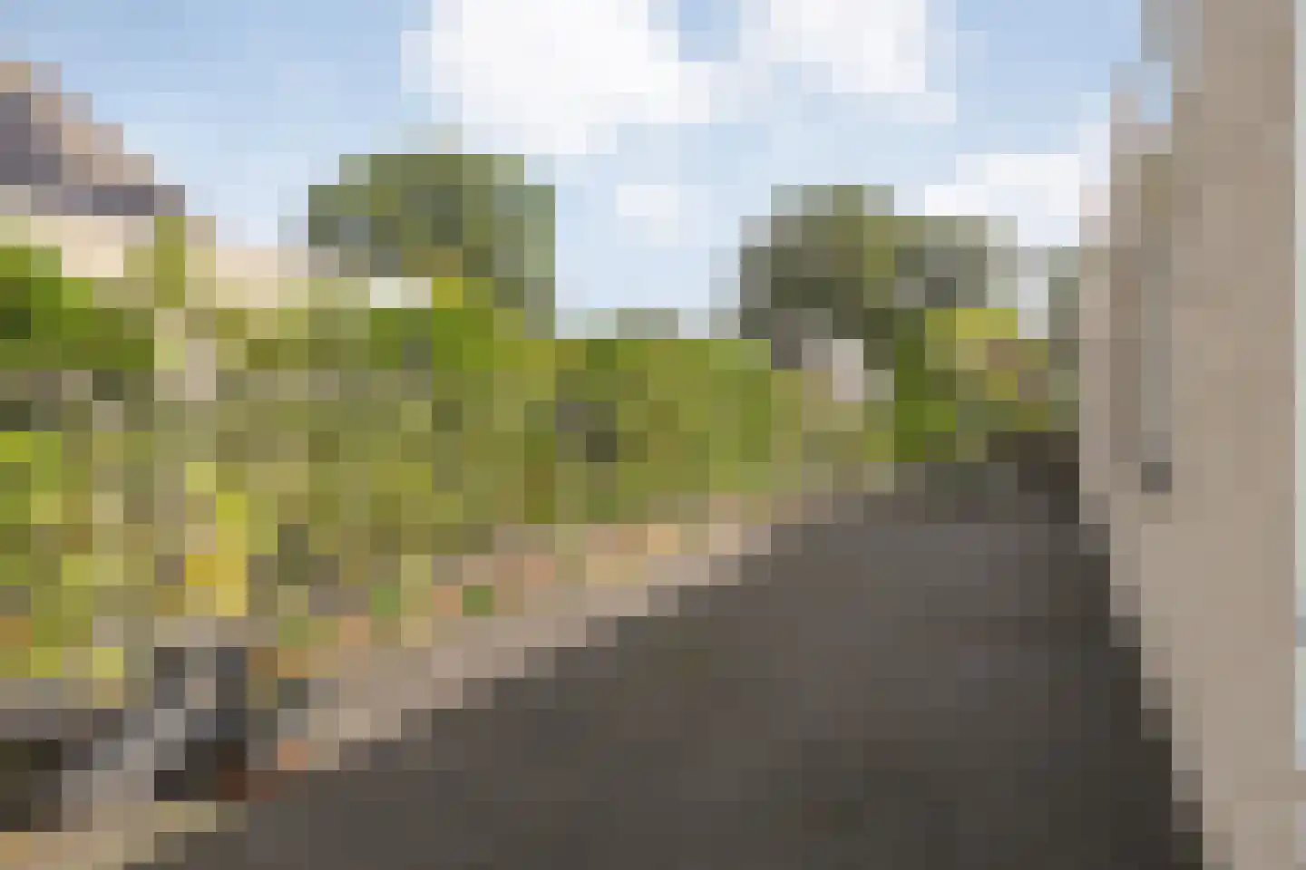 De Santbrincke 50 Fluitenberg thumbnail 53