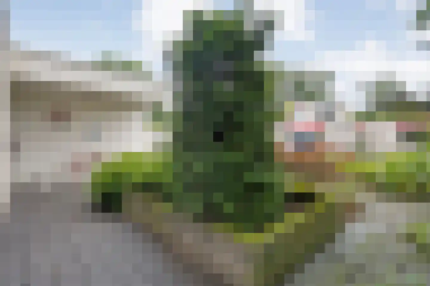 De Santbrincke 50 Fluitenberg thumbnail 61
