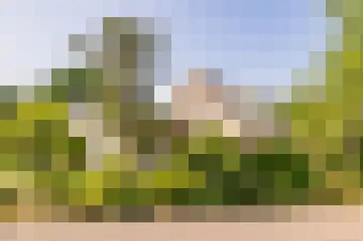 De Santbrincke 55 in Fluitenberg