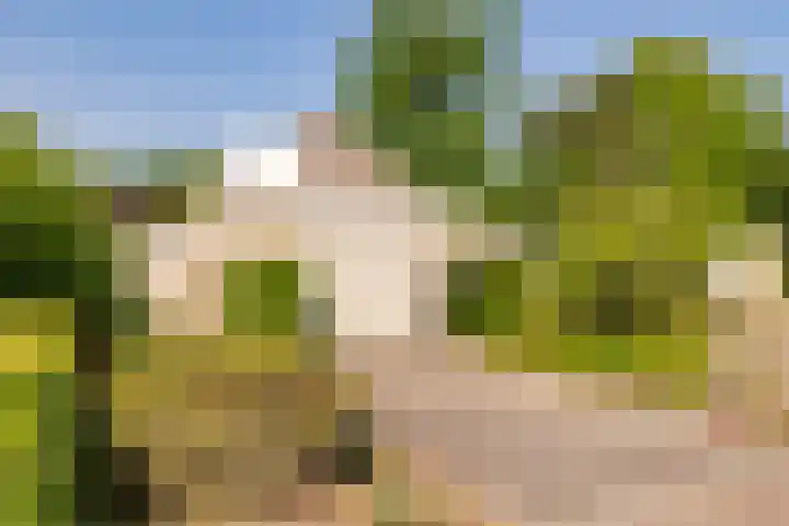 De Santbrincke 55 Fluitenberg thumbnail 58