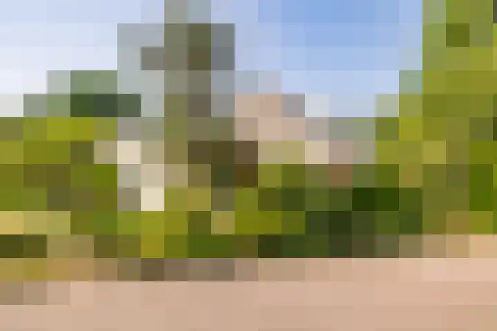 De Santbrincke 55 Fluitenberg thumbnail 59