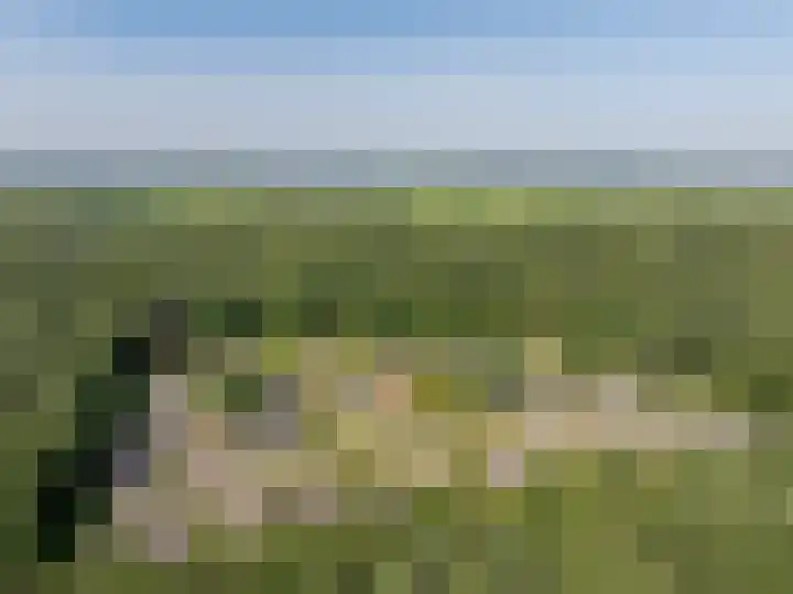 De Santbrincke 55 Fluitenberg thumbnail 66