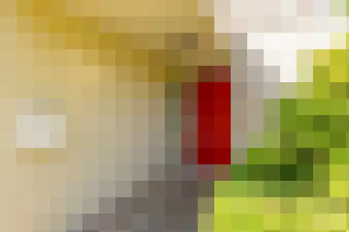 De Santbrincke 55 Fluitenberg thumbnail 8