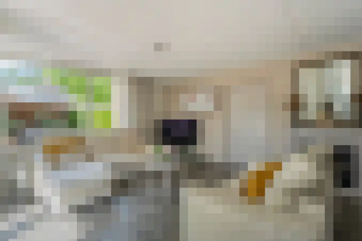 De Santbrincke 59 Fluitenberg thumbnail 4