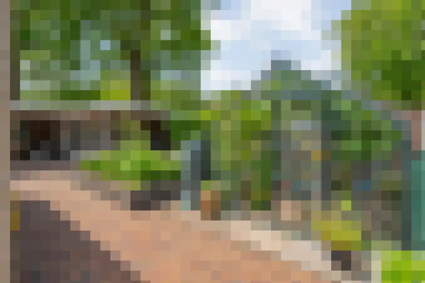 De Santbrincke 59 Fluitenberg thumbnail 48