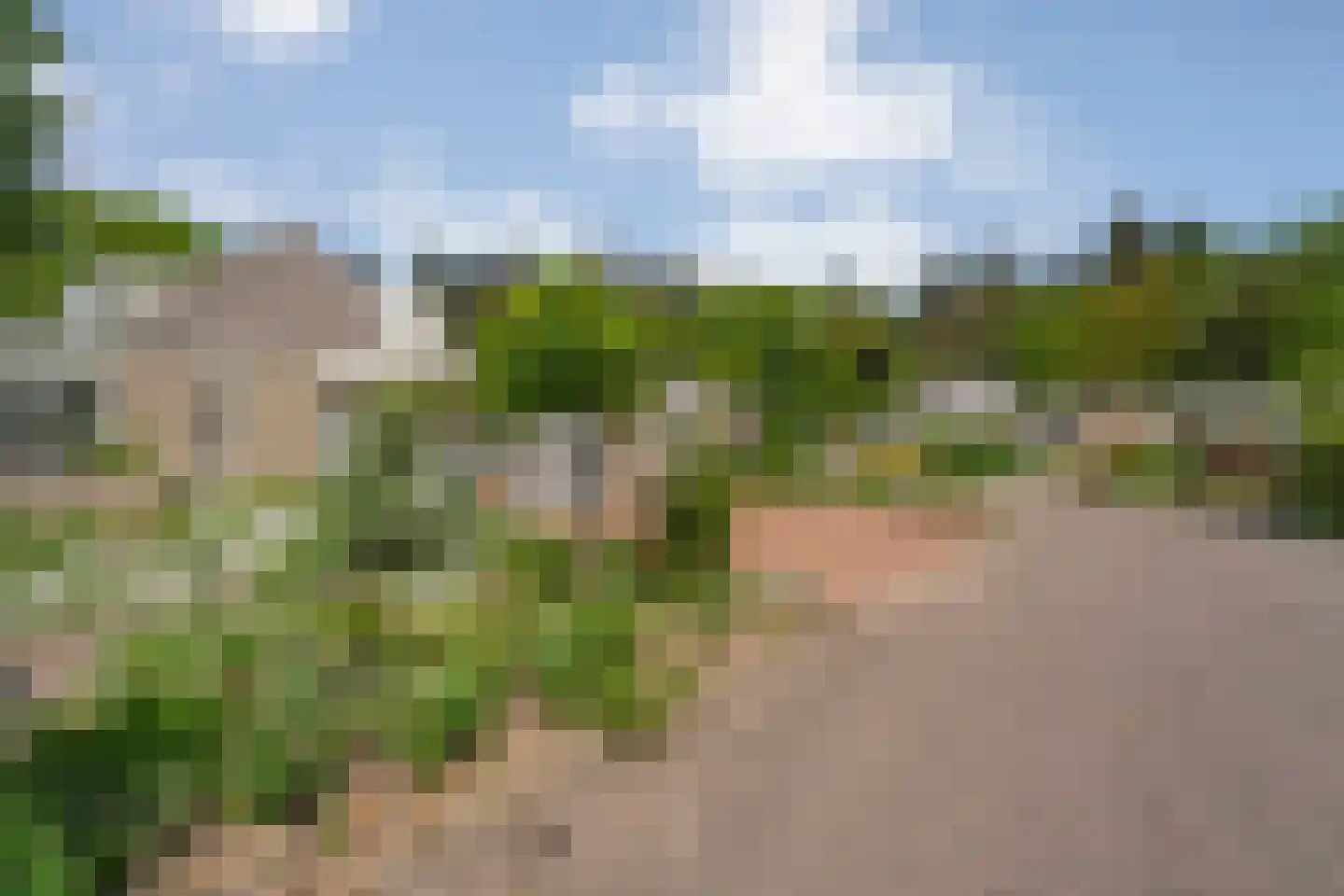 De Santbrincke 59 Fluitenberg thumbnail 62