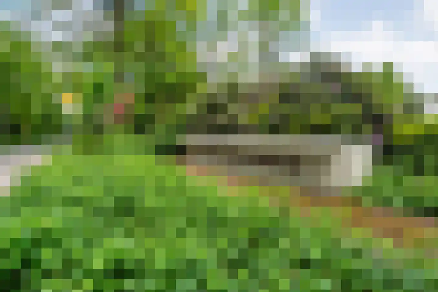 De Santbrincke 59 Fluitenberg thumbnail 65