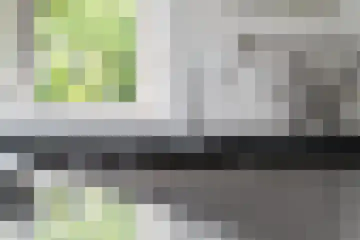 De Santbrincke 65 Fluitenberg thumbnail 12