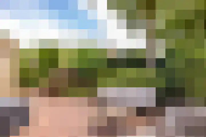 De Santbrincke 65 Fluitenberg thumbnail 27