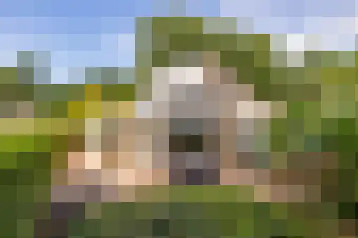 De Santbrincke 65 Fluitenberg thumbnail 4