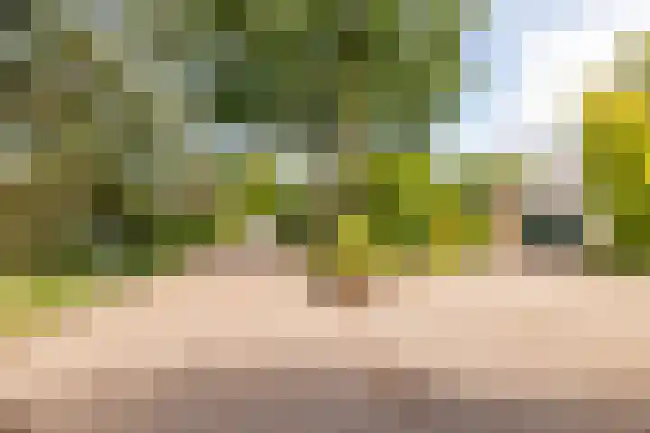De Santbrincke 65 Fluitenberg thumbnail 5