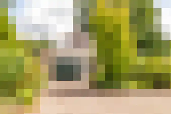 De Santbrincke 65 Fluitenberg thumbnail 6