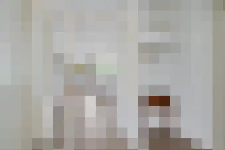 De Santbrincke 65 Fluitenberg thumbnail 8