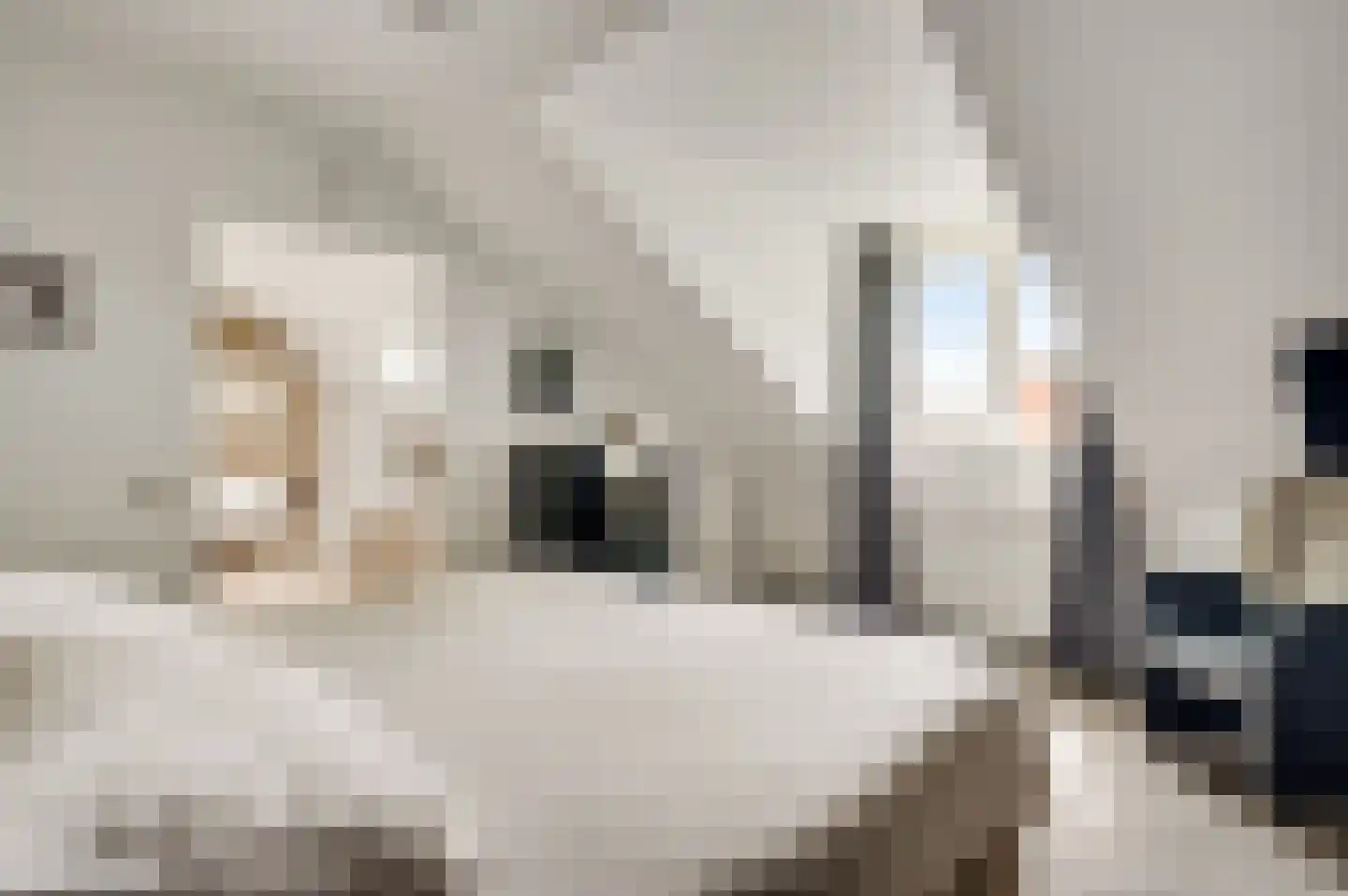 De Sauveurstraat 26 Ulestraten thumbnail 11