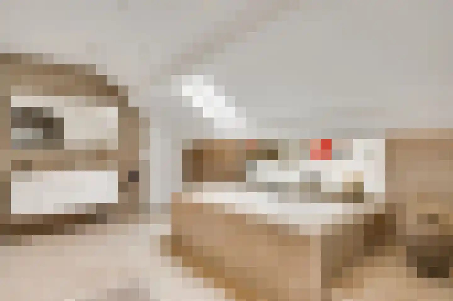 De Sauveurstraat 26 Ulestraten thumbnail 12