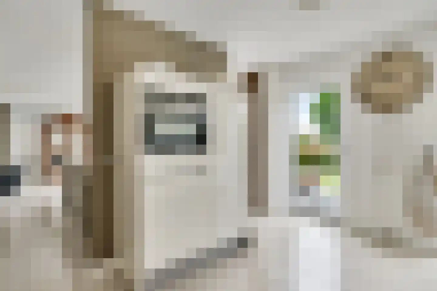 De Sauveurstraat 26 Ulestraten thumbnail 9