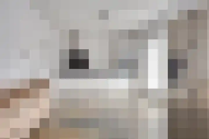 De Sauveurstraat 27 Ulestraten thumbnail 7