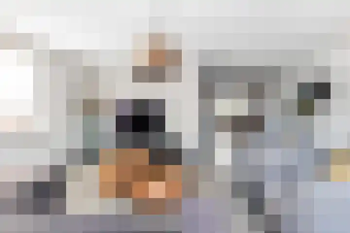 De Savornin Lohmanhof 24 Wezep thumbnail 11