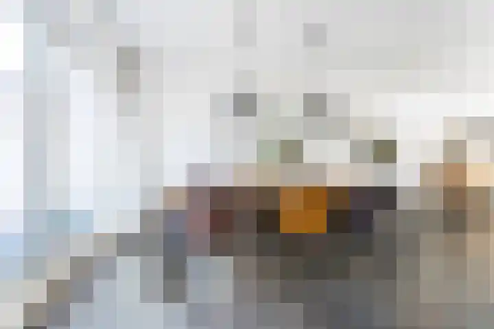 De Savornin Lohmanhof 24 Wezep thumbnail 15