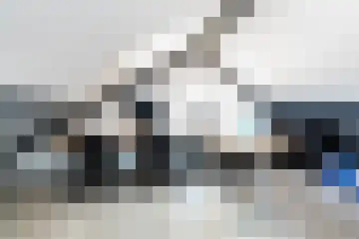 De Savornin Lohmanhof 24 Wezep thumbnail 26