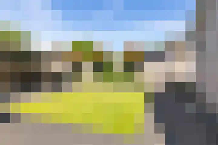 De Savornin Lohmanhof 24 Wezep thumbnail 36