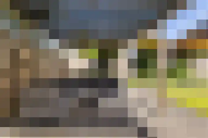 De Savornin Lohmanhof 24 Wezep thumbnail 37