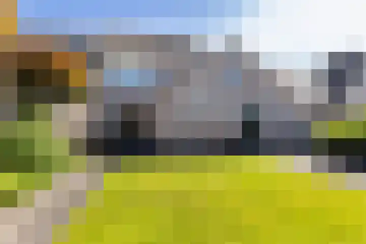 De Savornin Lohmanhof 24 Wezep thumbnail 38