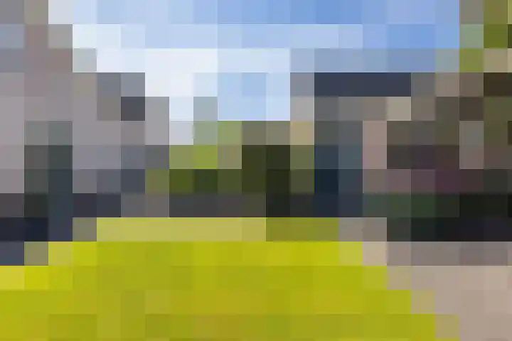 De Savornin Lohmanhof 24 Wezep thumbnail 39