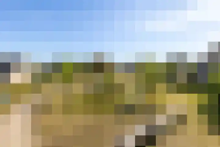 De Savornin Lohmanhof 24 Wezep thumbnail 41