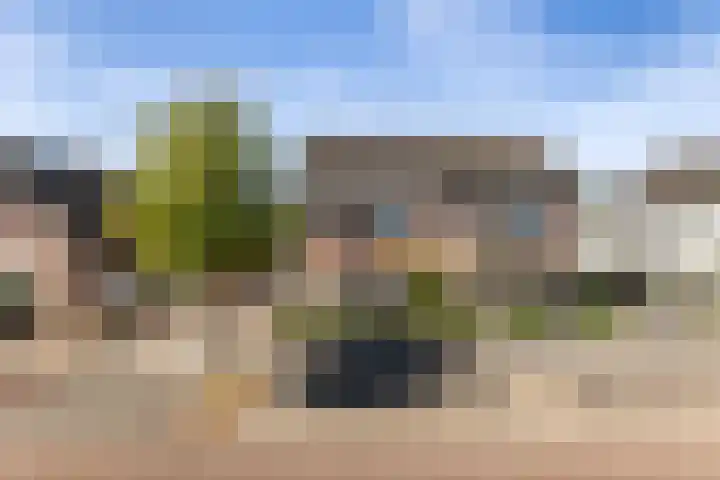 De Savornin Lohmanhof 24 Wezep thumbnail 49