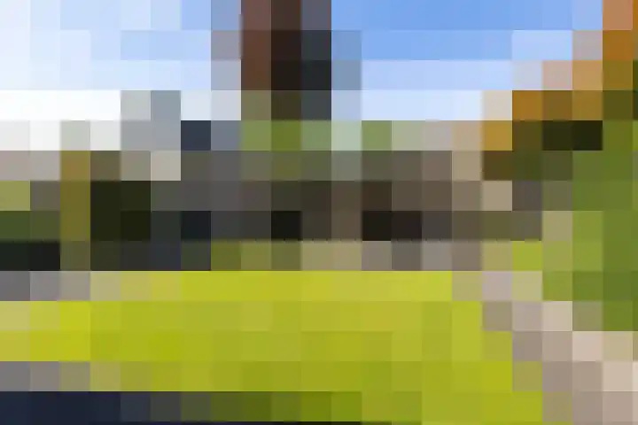 De Savornin Lohmanhof 24 Wezep thumbnail 5
