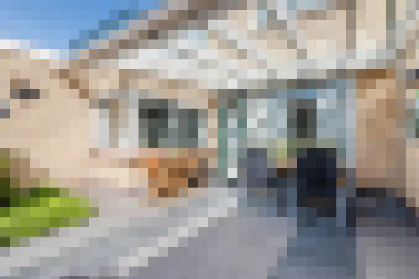 De Savornin Lohmanlaan 10 Harderwijk thumbnail 53