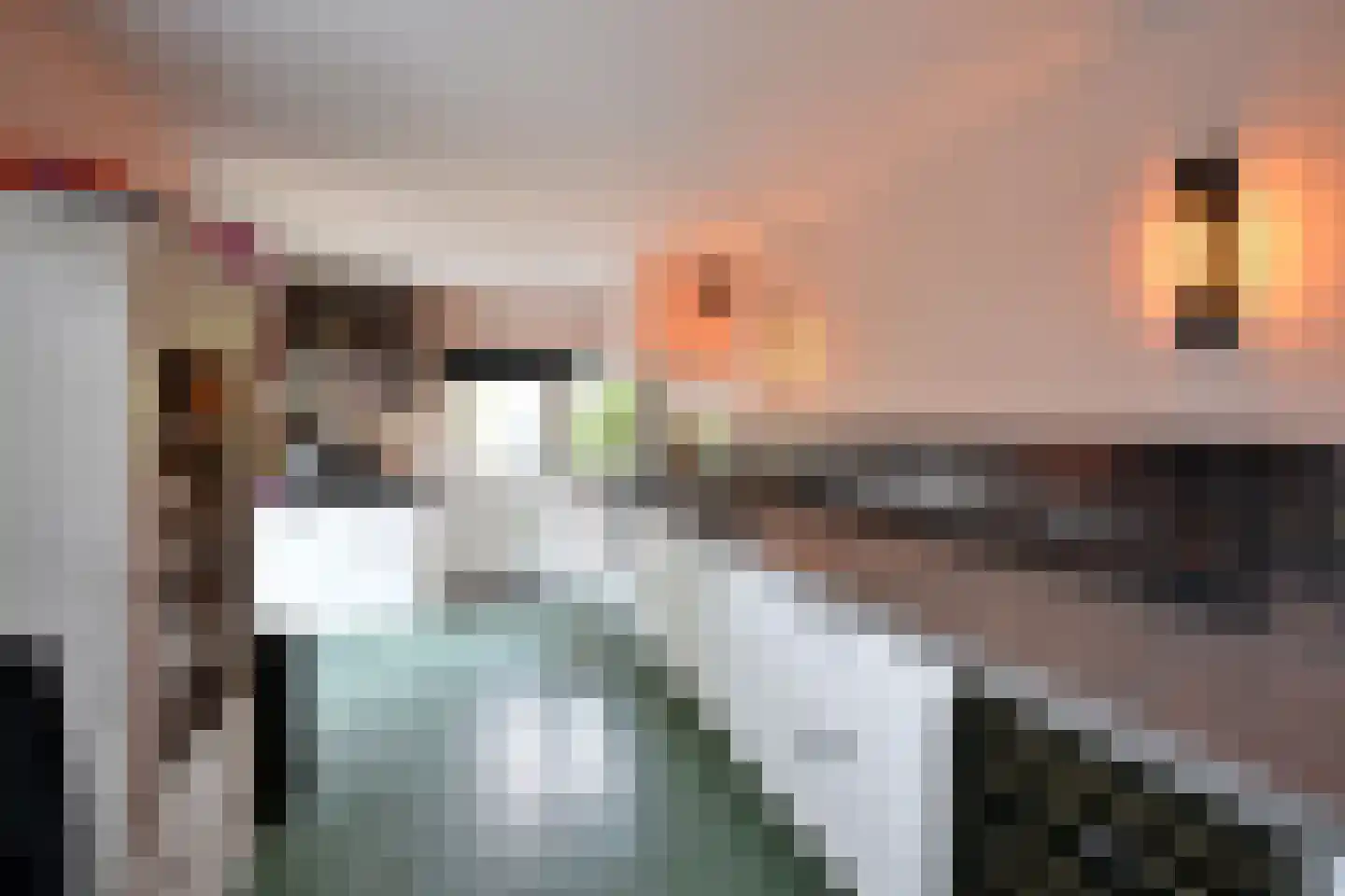 De Savornin Lohmanlaan 10 Huizen thumbnail 11