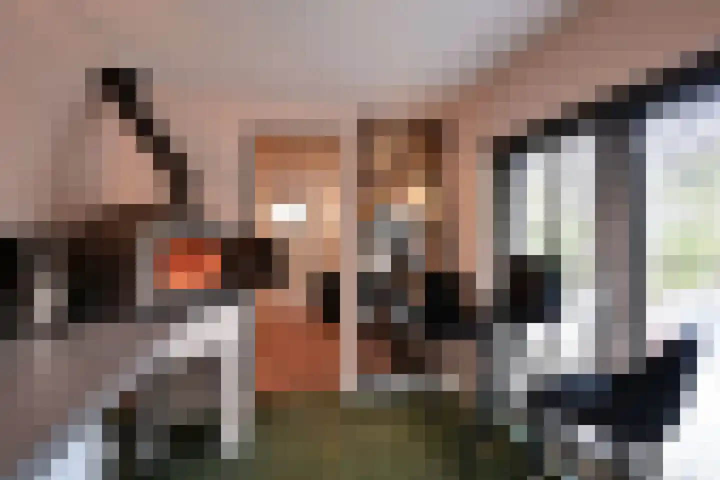 De Savornin Lohmanlaan 10 Huizen thumbnail 13