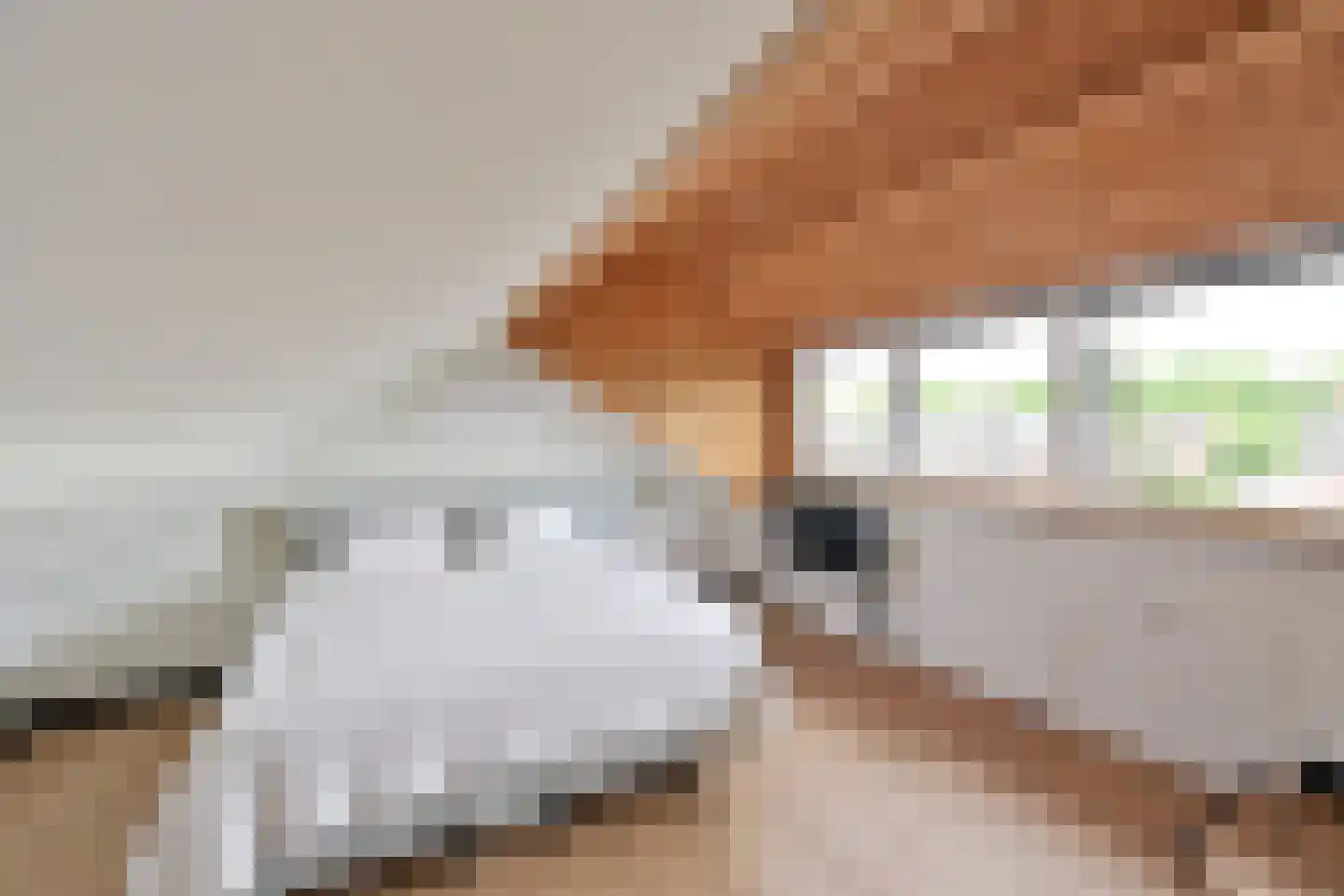 De Savornin Lohmanlaan 10 Huizen thumbnail 18