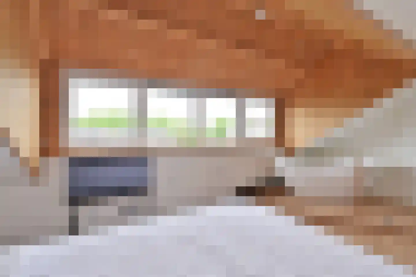 De Savornin Lohmanlaan 10 Huizen thumbnail 19