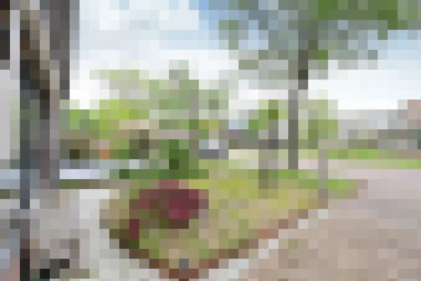 De Savornin Lohmanlaan 10 Huizen thumbnail 21