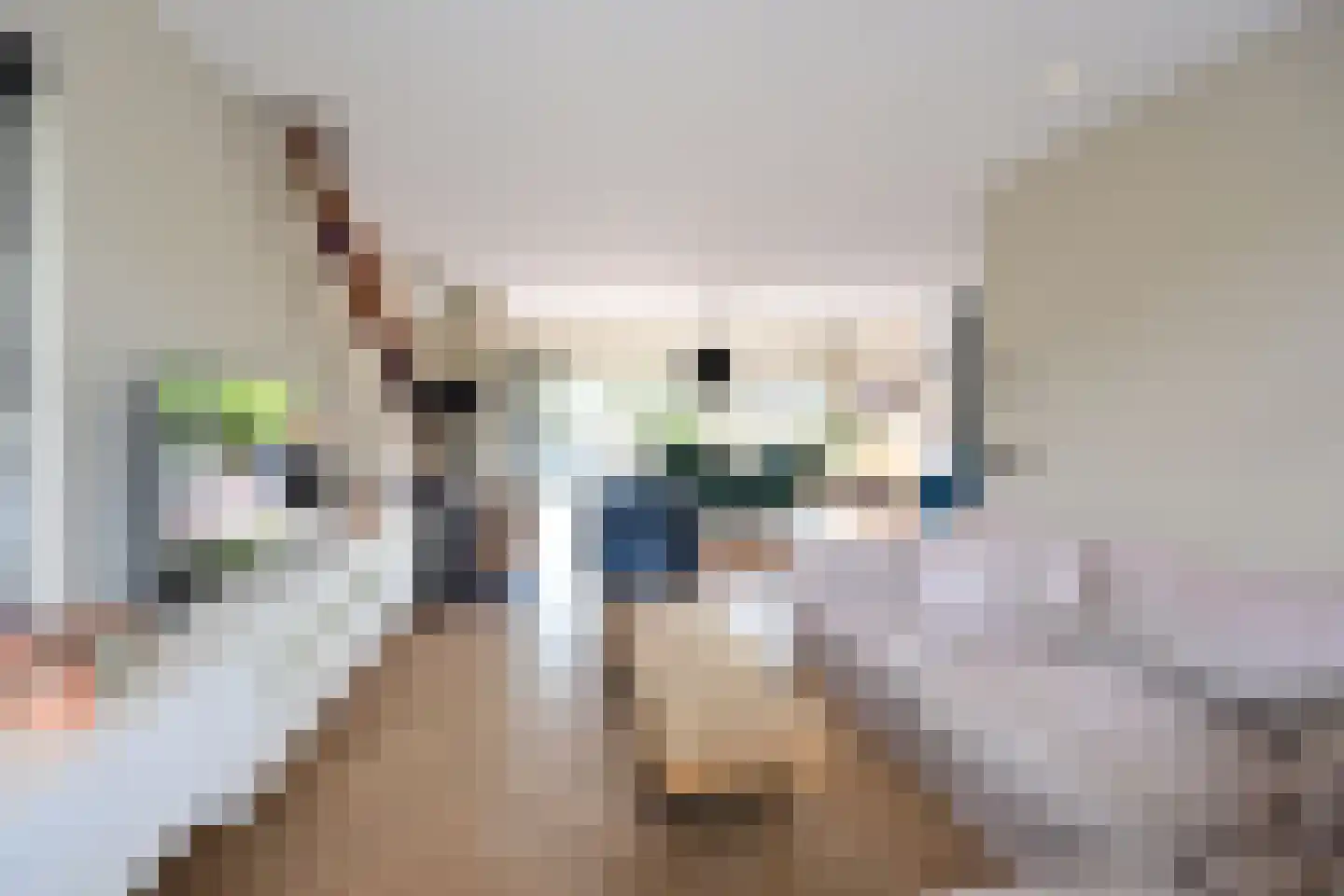 De Savornin Lohmanlaan 10 Huizen thumbnail 4