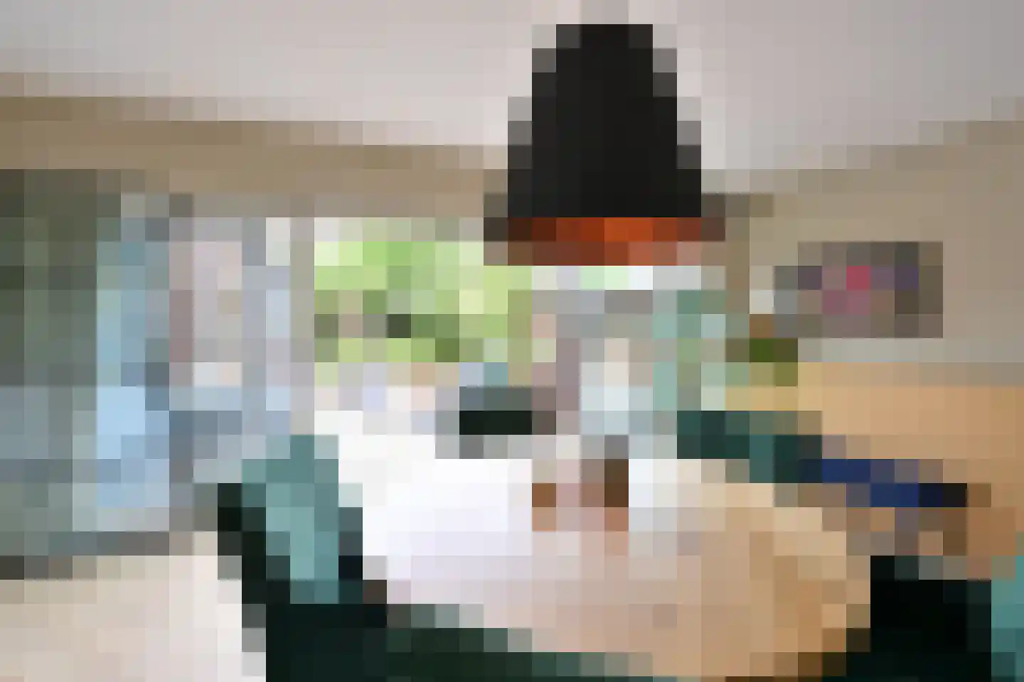 De Savornin Lohmanlaan 10 Huizen thumbnail 7