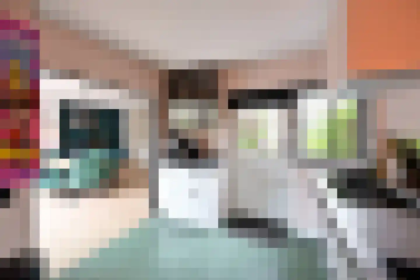 De Savornin Lohmanlaan 10 Huizen thumbnail 9