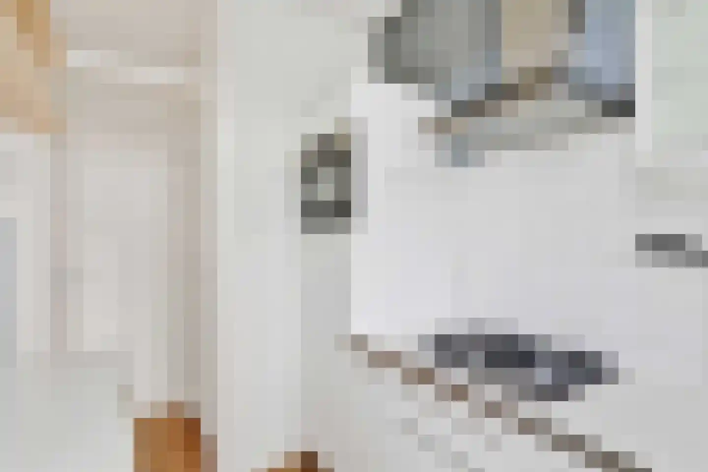 De Savornin Lohmanlaan 118 A 02 Rotterdam thumbnail 10