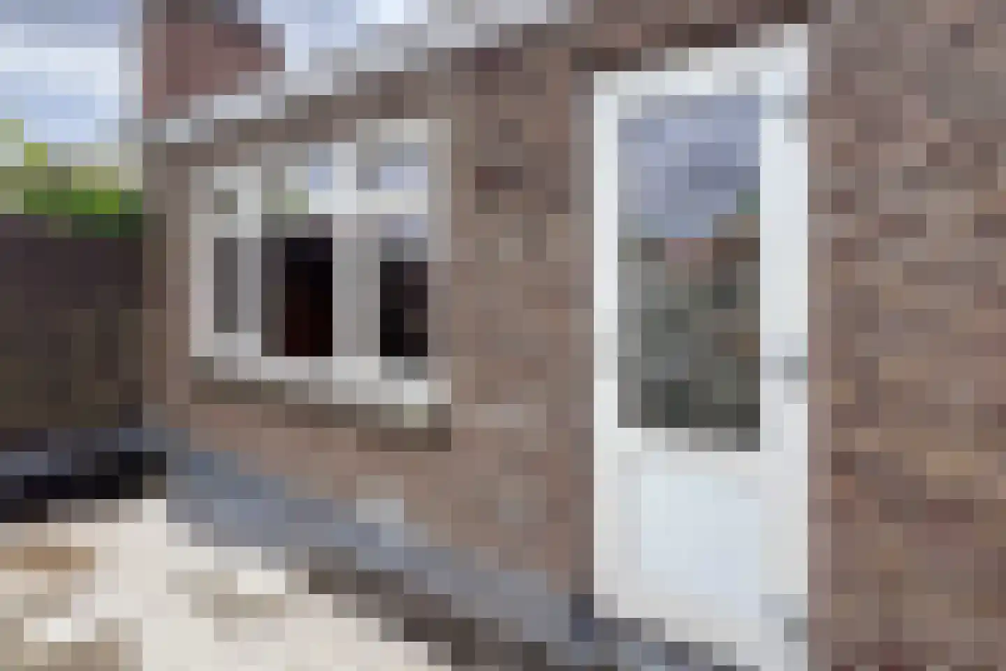 De Savornin Lohmanlaan 118 A 02 Rotterdam thumbnail 42