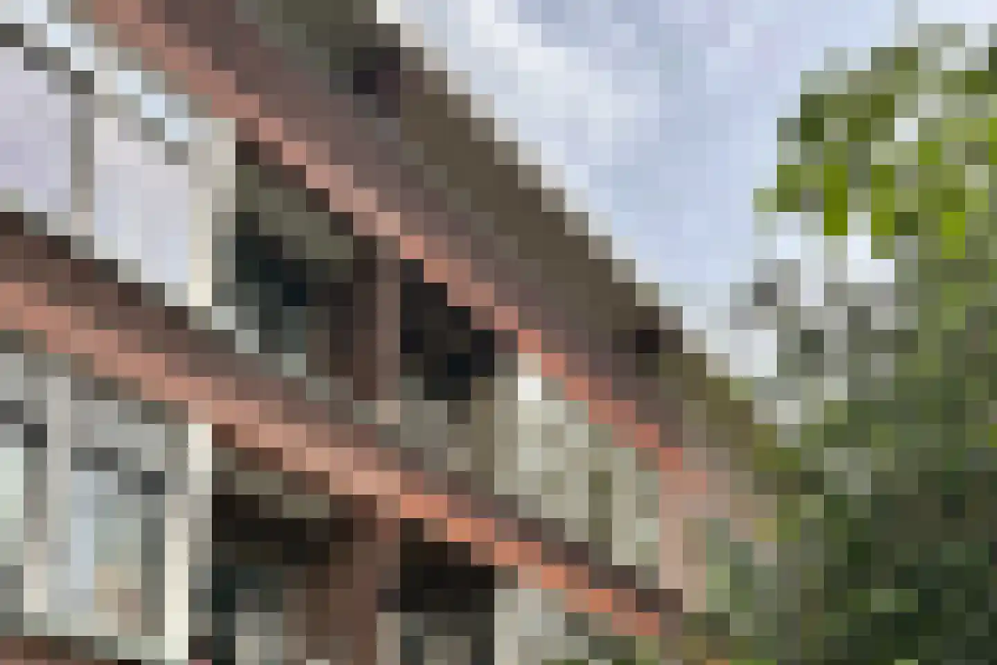 De Savornin Lohmanlaan 118 A 02 Rotterdam thumbnail 7