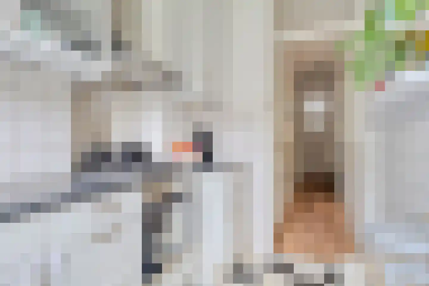 De Savornin Lohmanlaan 119 A 01 Rotterdam thumbnail 17