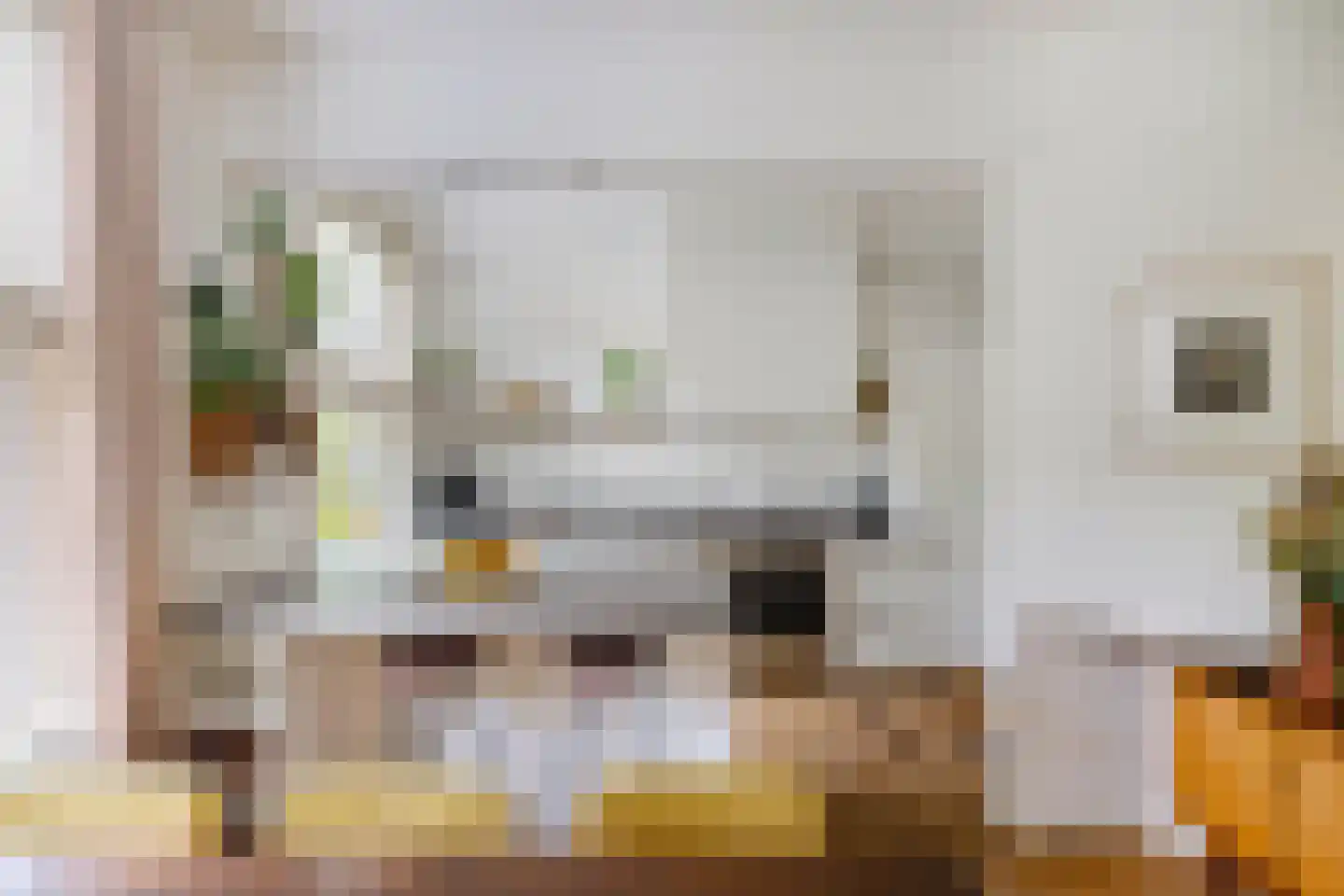 De Savornin Lohmanlaan 12 Groningen thumbnail 14