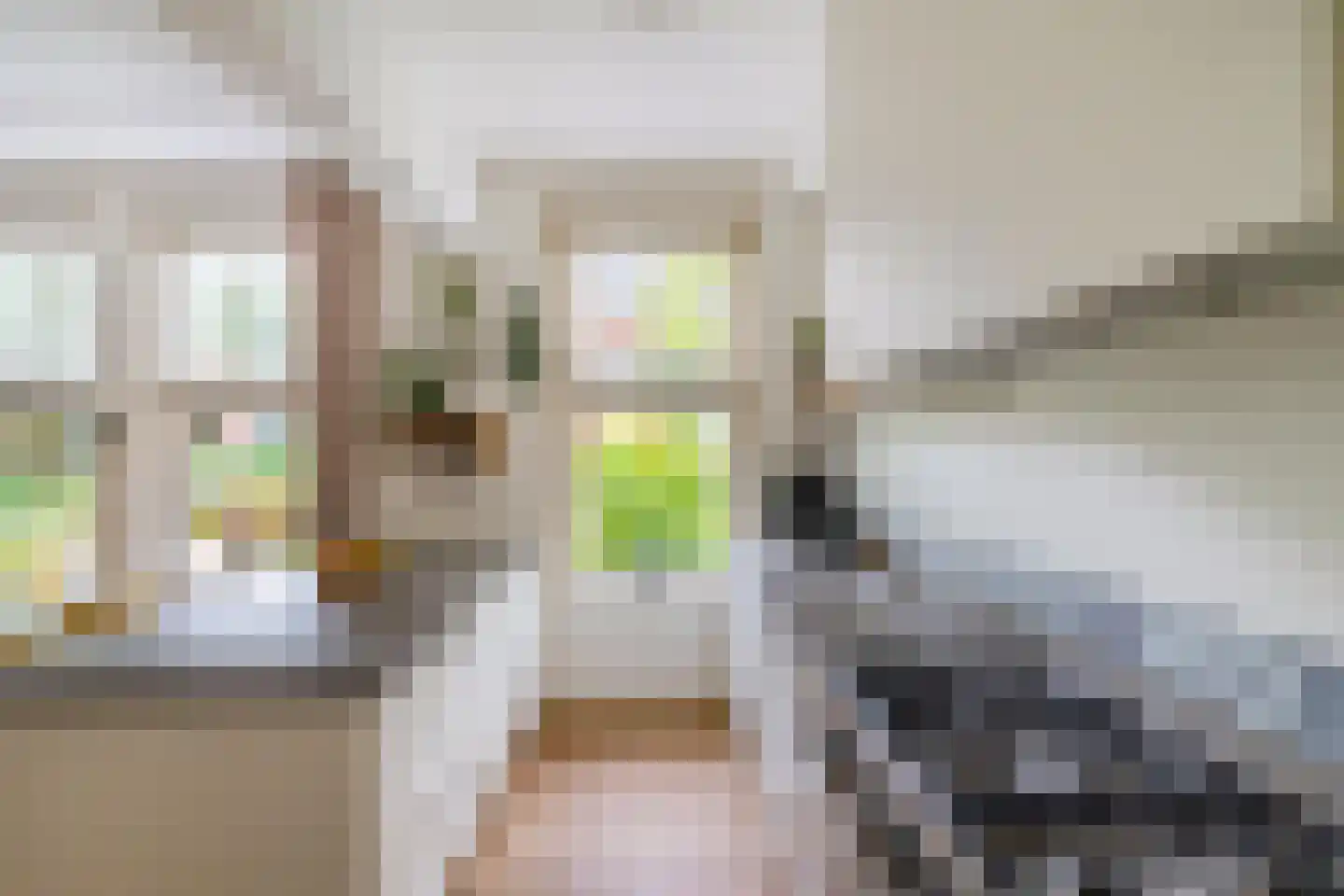 De Savornin Lohmanlaan 12 Groningen thumbnail 15
