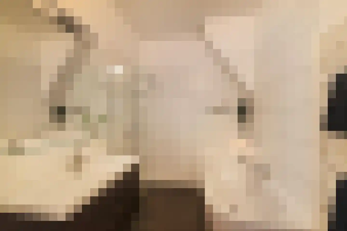 De Savornin Lohmanlaan 12 Groningen thumbnail 19